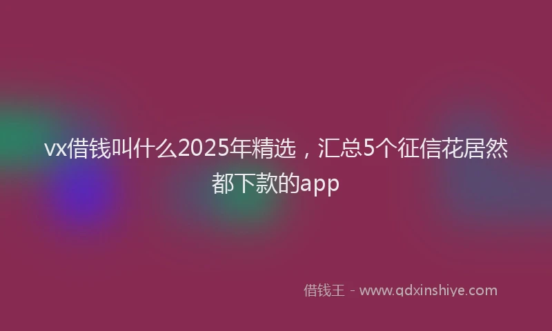 vx借钱叫什么2025年精选，汇总5个征信花居然都下款的app