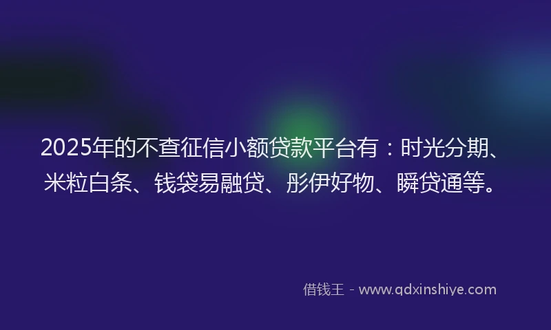 2025年的不查征信小额贷款平台有：时光分期、米粒白条、钱袋易融贷、彤伊好物、瞬贷通等。