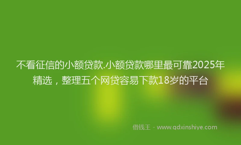 不看征信的小额贷款.小额贷款哪里最可靠2025年精选，整理五个网贷容易下款18岁的平台