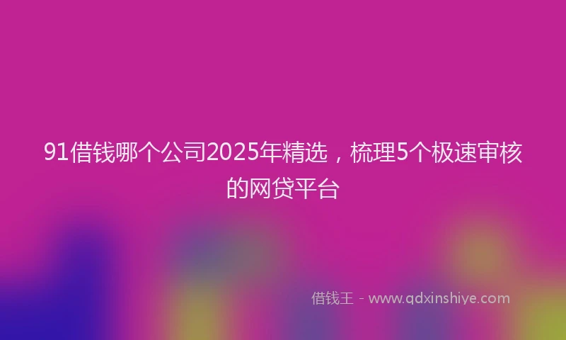 91借钱哪个公司2025年精选，梳理5个极速审核的网贷平台