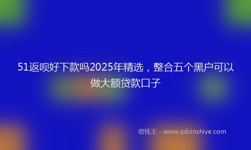 51返呗好下款吗2025年精选，整合五个黑户可以做大额贷款口子
