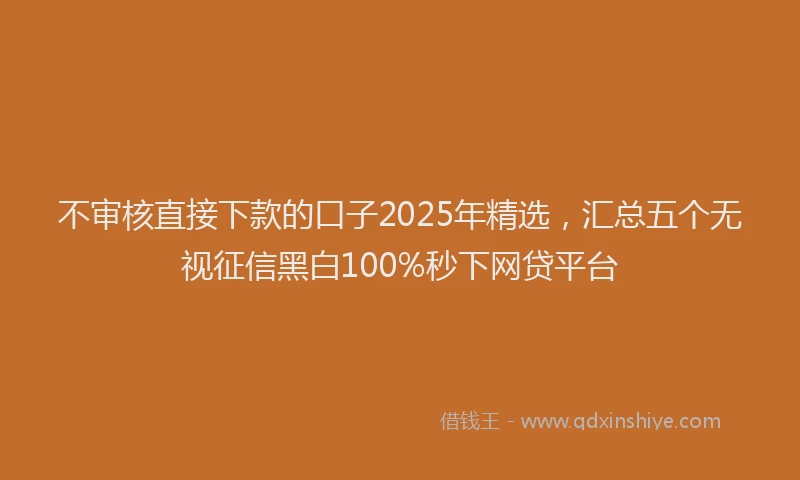 不审核直接下款的口子2025年精选，汇总五个无视征信黑白100%秒下网贷平台