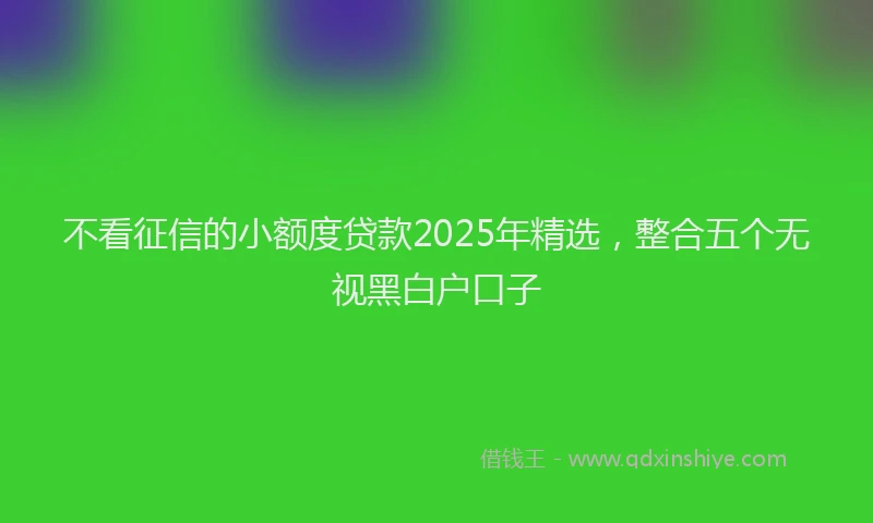 不看征信的小额度贷款2025年精选，整合五个无视黑白户口子