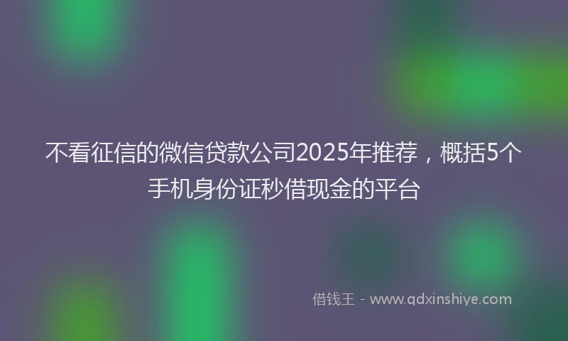 不看征信的微信贷款公司2025年推荐，概括5个手机身份证秒借现金的平台