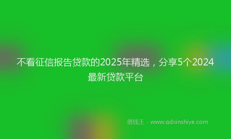 不看征信报告贷款的2025年精选，分享5个2024最新贷款平台