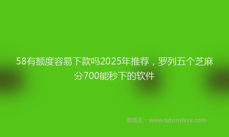 58有额度容易下款吗2025年推荐，罗列五个芝麻分700能秒下的软件