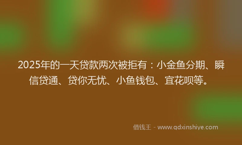 2025年的一天贷款两次被拒有：小金鱼分期、瞬信贷通、贷你无忧、小鱼钱包、宜花呗等。