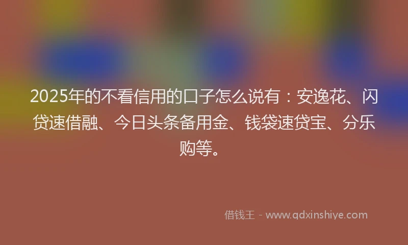 2025年的不看信用的口子怎么说有：安逸花、闪贷速借融、今日头条备用金、钱袋速贷宝、分乐购等。
