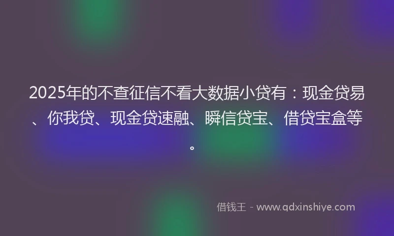 2025年的不查征信不看大数据小贷有：现金贷易、你我贷、现金贷速融、瞬信贷宝、借贷宝盒等。