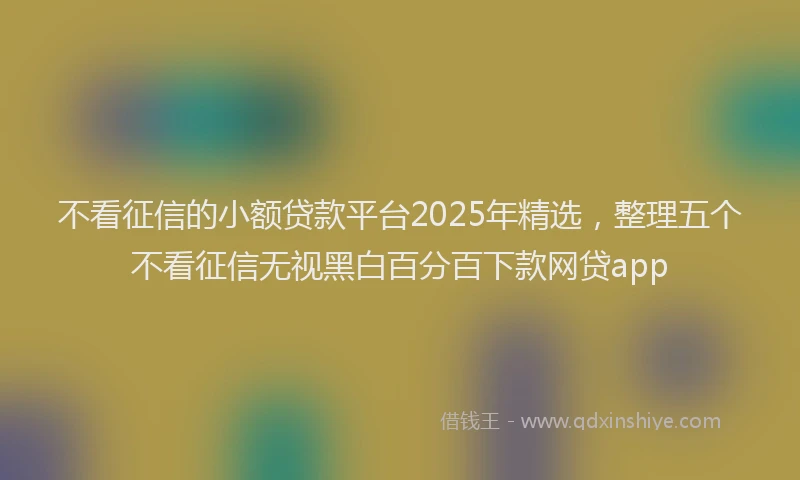 不看征信的小额贷款平台2025年精选，整理五个不看征信无视黑白百分百下款网贷app