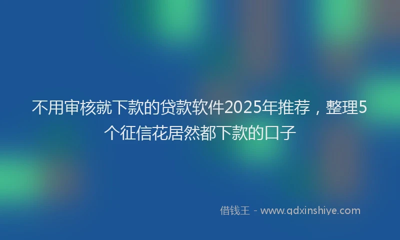 不用审核就下款的贷款软件2025年推荐，整理5个征信花居然都下款的口子