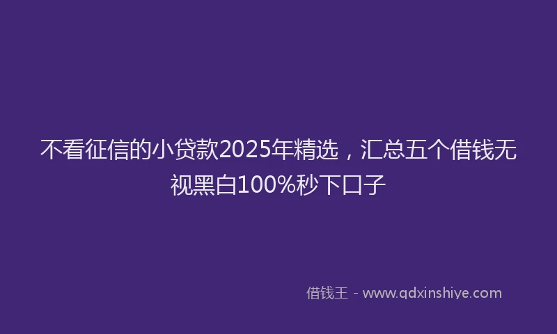不看征信的小贷款2025年精选，汇总五个借钱无视黑白100%秒下口子