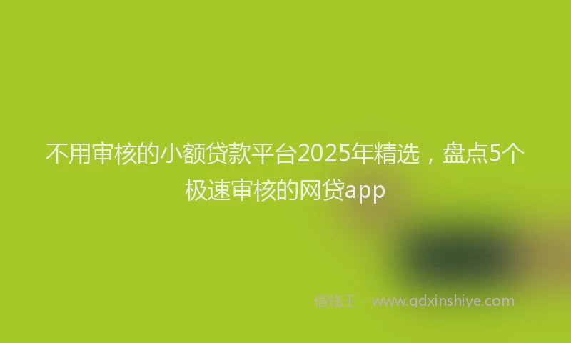 不用审核的小额贷款平台2025年精选，盘点5个极速审核的网贷app