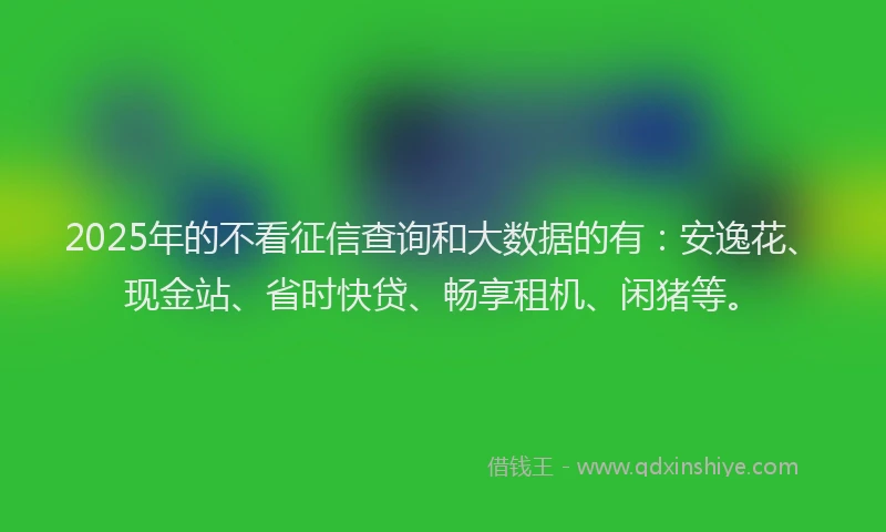 2025年的不看征信查询和大数据的有：安逸花、现金站、省时快贷、畅享租机、闲猪等。