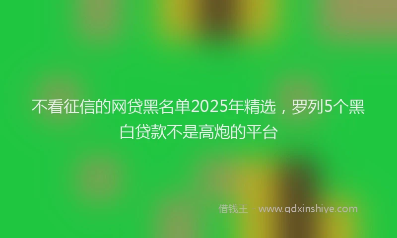 不看征信的网贷黑名单2025年精选，罗列5个黑白贷款不是高炮的平台