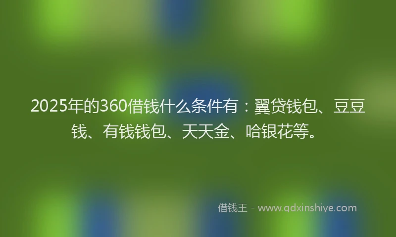 2025年的360借钱什么条件有：翼贷钱包、豆豆钱、有钱钱包、天天金、哈银花等。