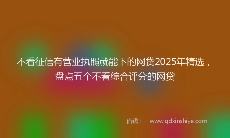 不看征信有营业执照就能下的网贷2025年精选，盘点五个不看综合评分的网贷