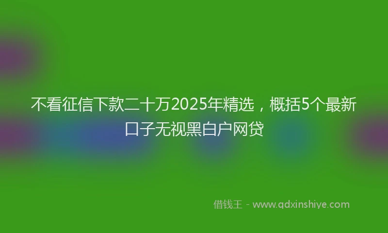 不看征信下款二十万2025年精选，概括5个最新口子无视黑白户网贷