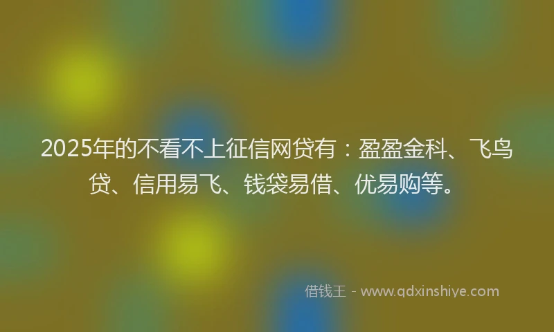 2025年的不看不上征信网贷有：盈盈金科、飞鸟贷、信用易飞、钱袋易借、优易购等。