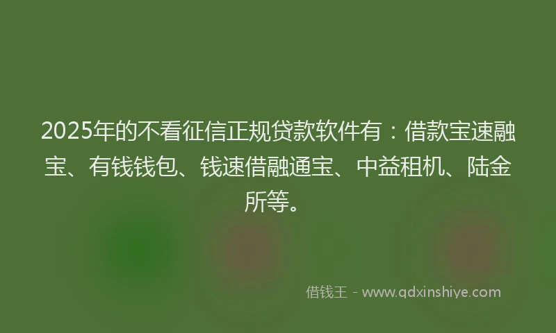 2025年的不看征信正规贷款软件有：借款宝速融宝、有钱钱包、钱速借融通宝、中益租机、陆金所等。