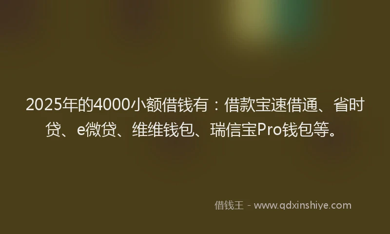 2025年的4000小额借钱有：借款宝速借通、省时贷、e微贷、维维钱包、瑞信宝Pro钱包等。