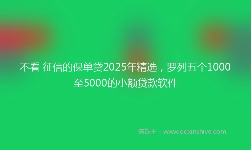 不看 征信的保单贷2025年精选，罗列五个1000至5000的小额贷款软件