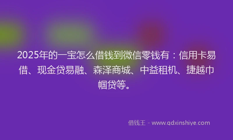 2025年的一宝怎么借钱到微信零钱有：信用卡易借、现金贷易融、森泽商城、中益租机、捷越巾帼贷等。