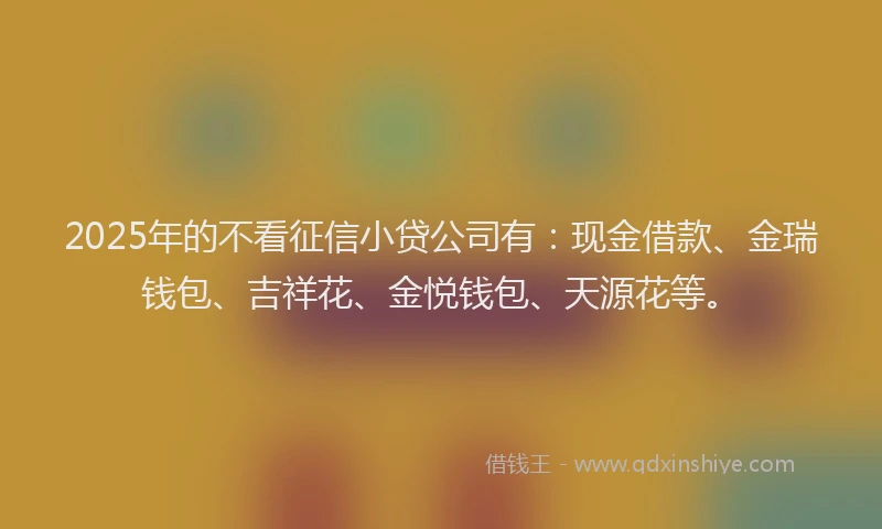 2025年的不看征信小贷公司有：现金借款、金瑞钱包、吉祥花、金悦钱包、天源花等。