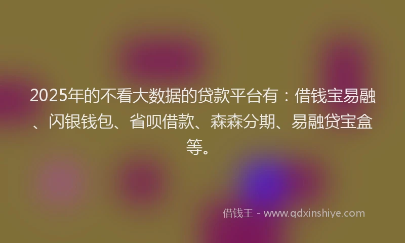 2025年的不看大数据的贷款平台有：借钱宝易融、闪银钱包、省呗借款、森森分期、易融贷宝盒等。
