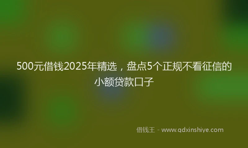 500元借钱2025年精选，盘点5个正规不看征信的小额贷款口子
