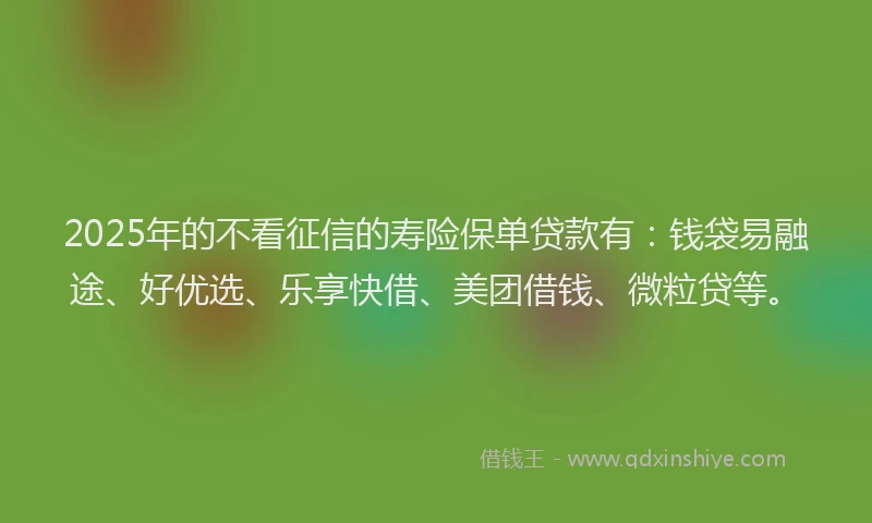 2025年的不看征信的寿险保单贷款有：钱袋易融途、好优选、乐享快借、美团借钱、微粒贷等。