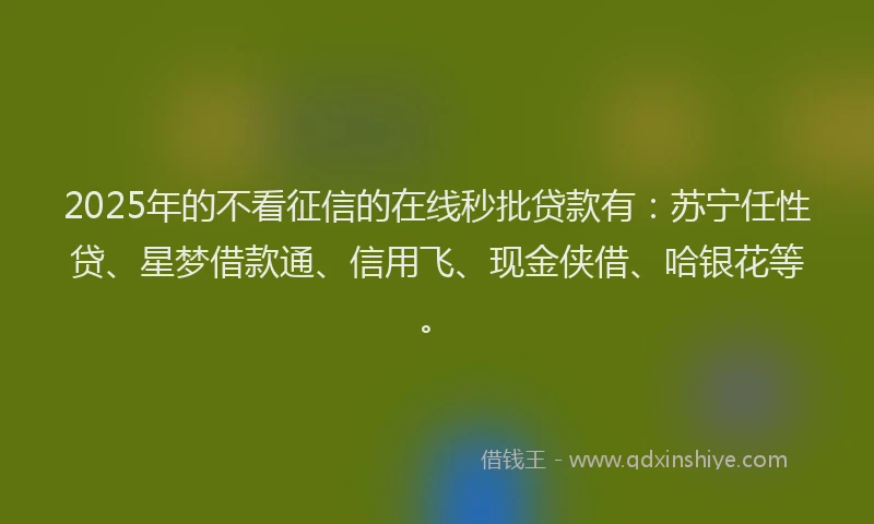 2025年的不看征信的在线秒批贷款有：苏宁任性贷、星梦借款通、信用飞、现金侠借、哈银花等。