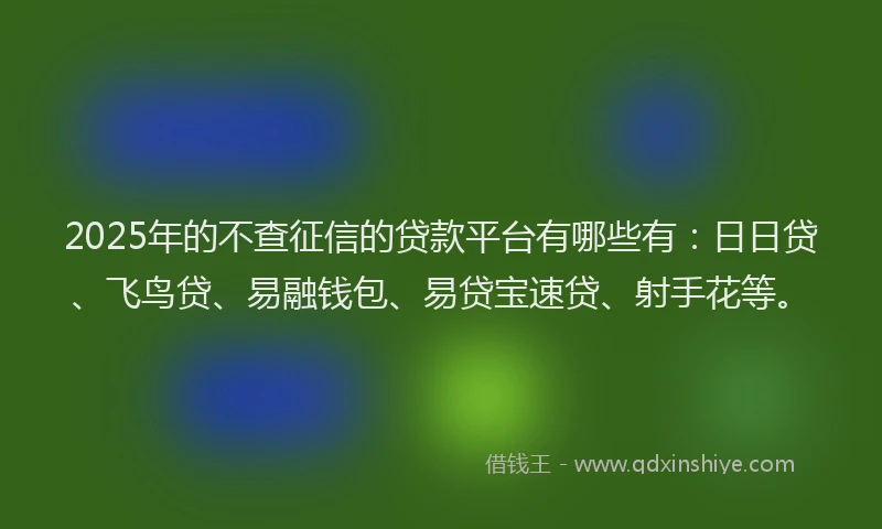2025年的不查征信的贷款平台有哪些有：日日贷、飞鸟贷、易融钱包、易贷宝速贷、射手花等。