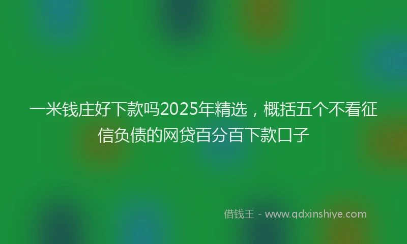 一米钱庄好下款吗2025年精选，概括五个不看征信负债的网贷百分百下款口子