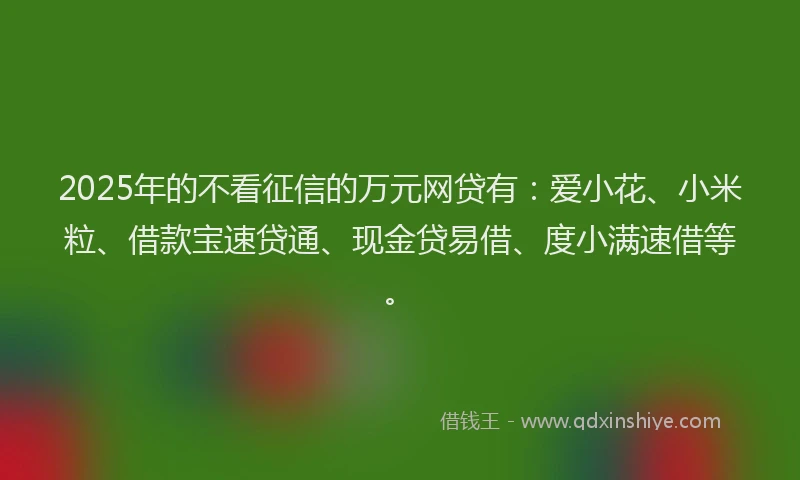 2025年的不看征信的万元网贷有：爱小花、小米粒、借款宝速贷通、现金贷易借、度小满速借等。