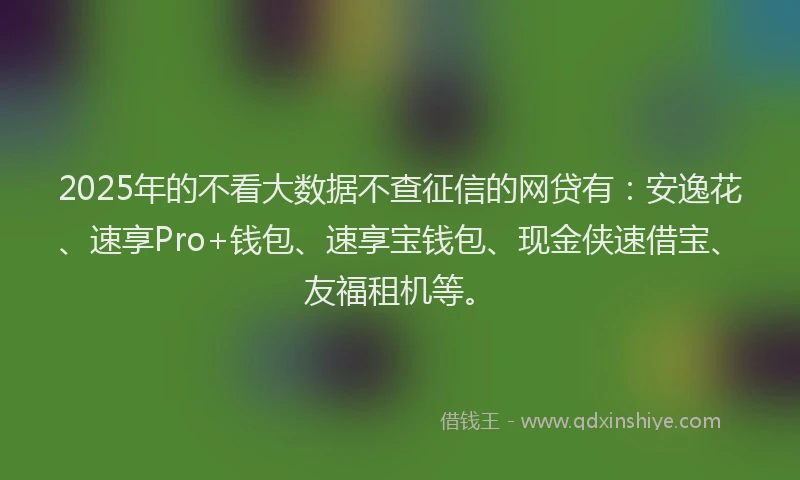 2025年的不看大数据不查征信的网贷有：安逸花、速享Pro+钱包、速享宝钱包、现金侠速借宝、友福租机等。