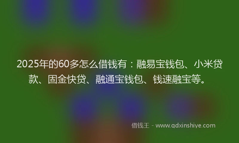 2025年的60多怎么借钱有：融易宝钱包、小米贷款、固金快贷、融通宝钱包、钱速融宝等。
