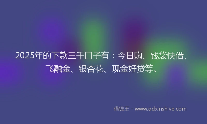 2025年的下款三千口子有：今日购、钱袋快借、飞融金、银杏花、现金好贷等。