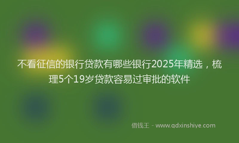 不看征信的银行贷款有哪些银行2025年精选，梳理5个19岁贷款容易过审批的软件
