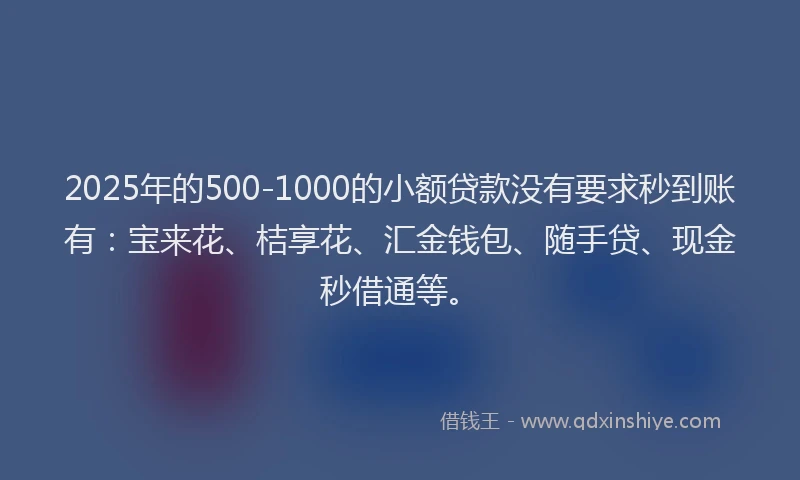 2025年的500-1000的小额贷款没有要求秒到账有：宝来花、桔享花、汇金钱包、随手贷、现金秒借通等。