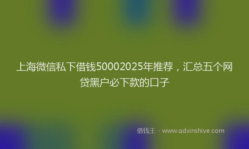 上海微信私下借钱50002025年推荐，汇总五个网贷黑户必下款的口子