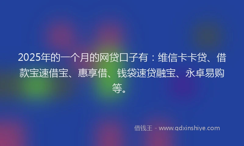 2025年的一个月的网贷口子有：维信卡卡贷、借款宝速借宝、惠享借、钱袋速贷融宝、永卓易购等。