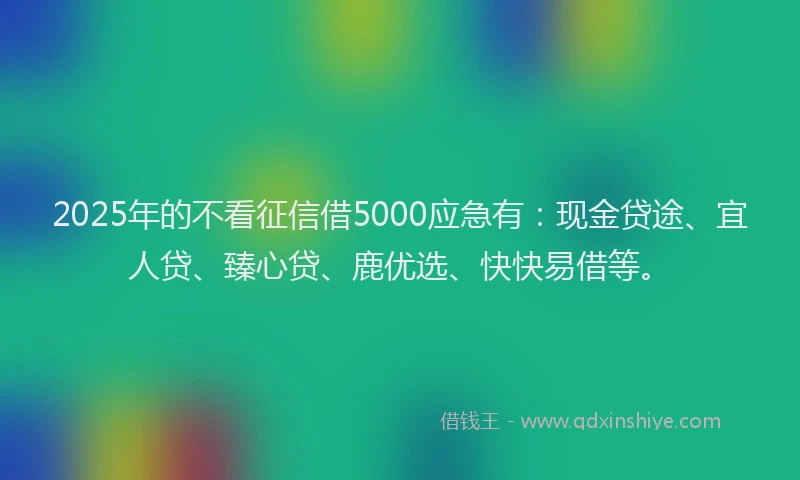 2025年的不看征信借5000应急有：现金贷途、宜人贷、臻心贷、鹿优选、快快易借等。