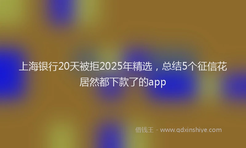 上海银行20天被拒2025年精选，总结5个征信花居然都下款了的app