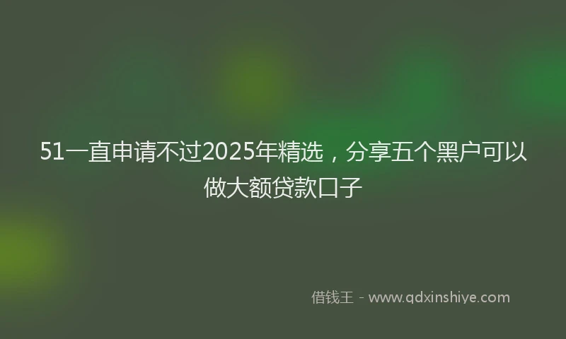 51一直申请不过2025年精选，分享五个黑户可以做大额贷款口子