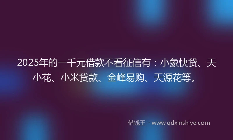 2025年的一千元借款不看征信有：小象快贷、天小花、小米贷款、金峰易购、天源花等。