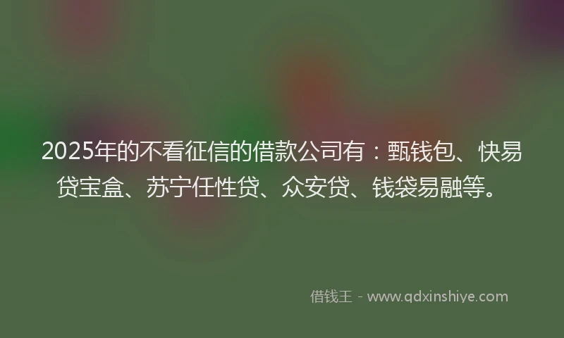 2025年的不看征信的借款公司有：甄钱包、快易贷宝盒、苏宁任性贷、众安贷、钱袋易融等。