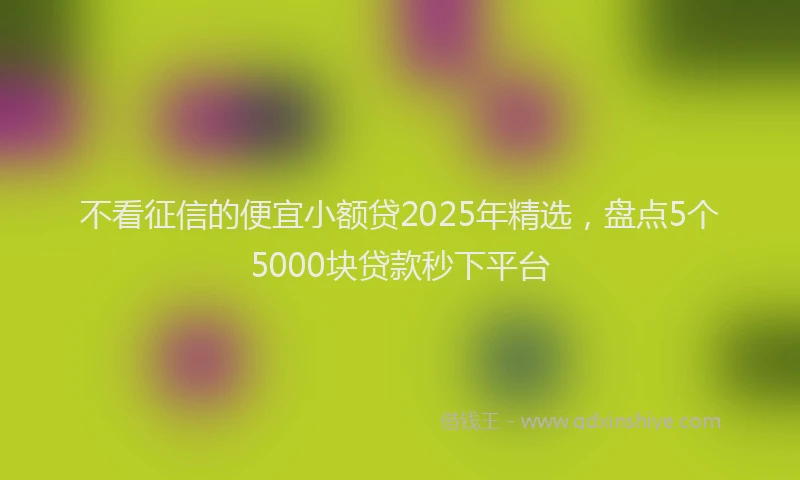 不看征信的便宜小额贷2025年精选，盘点5个5000块贷款秒下平台