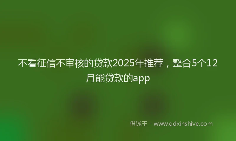 不看征信不审核的贷款2025年推荐，整合5个12月能贷款的app