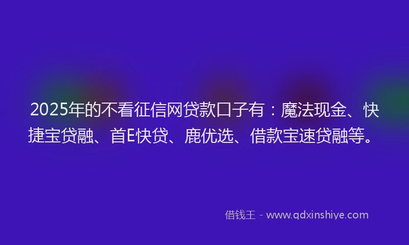 2025年的不看征信网贷款口子有：魔法现金、快捷宝贷融、首E快贷、鹿优选、借款宝速贷融等。